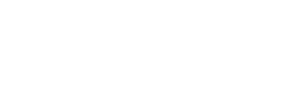 tokyo-01.png